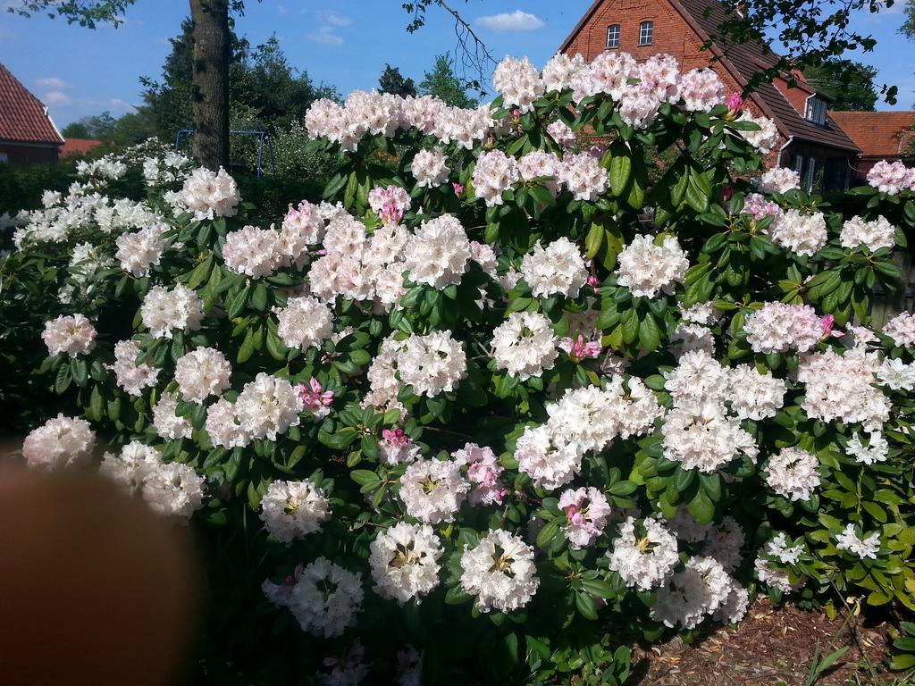 Bio Ferienwohnung Doerverden Экстерьер фото