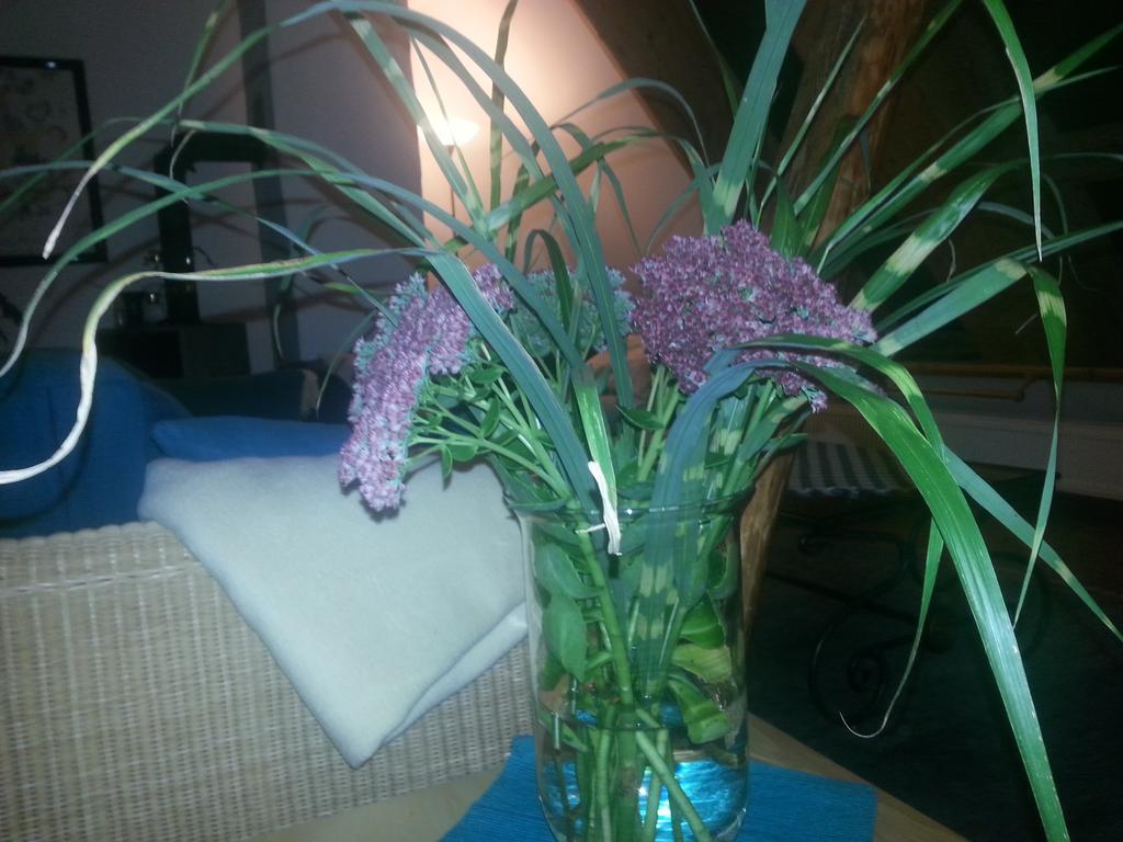 Bio Ferienwohnung Doerverden Экстерьер фото